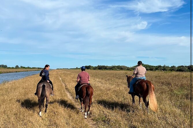 1 hour of ATV + 1 hour horse ride-- free videos and pictures - The horse hour: a slower change of pace