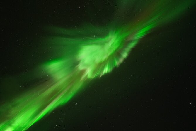 #1 Northern Lights Tour In Iceland from Reykjavik with PRO photos - The real odds of seeing the Northern Lights