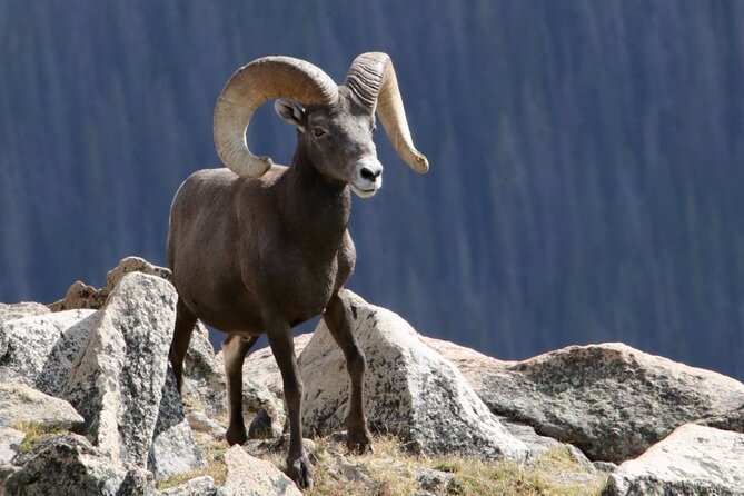 3/4 Day Rocky Mountain NP "Mountain to Sky+Bear Lake Rd" Tour - RMNPhotographer - Key points to know before booking