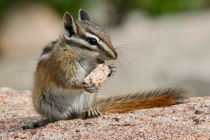 3/4 Day Rocky Mountain NP "Mountain to Sky+Bear Lake Rd" Tour - RMNPhotographer - Is $179 a fair price?
