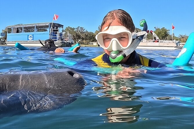 3 Hour Small Group Manatee Swim Heated Boats Free Photos All Inc - A Small Boat Makes a Big Difference on Crystal River