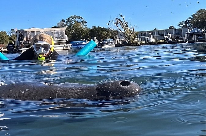 3 Hour Small Group Manatee Swim Heated Boats Free Photos All Inc - Equipment Is Supplied, But Pack the Right Personal Items