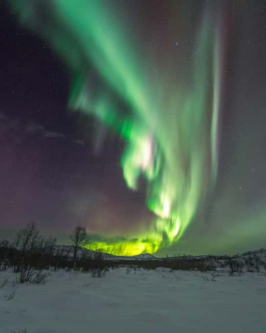 Abisko: Aurora Car Chasing Tour with Photographer - Who will get the most from this tour?
