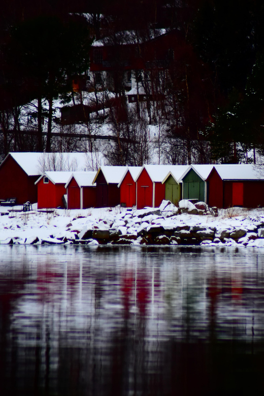 Abisko: Fjord Sightseeing and Photography Tour - The lunch stop in Narvik or Bjerkvik