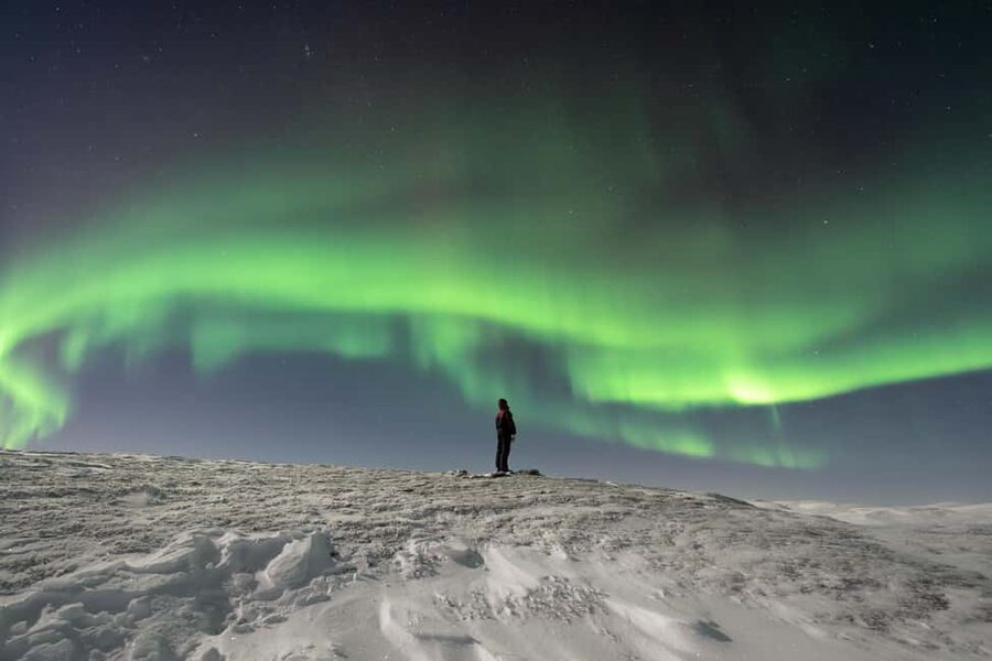 Abisko: Northern Lights Photography Tour with Dinner - The included photos are worth paying attention to