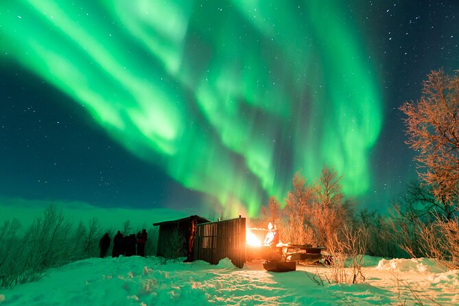 Abisko Northern Lights Tour with Photographer - Photography help for beginners and experienced camera users