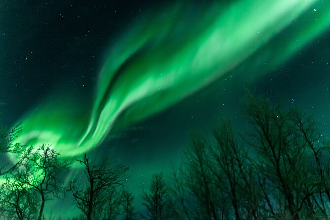 Abisko Northern Lights Tour with Photographer - Starting at 7 p.m. in Abisko