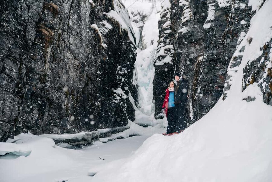 Abisko: Photo Hike with Professional Photographer - Key points to know before booking