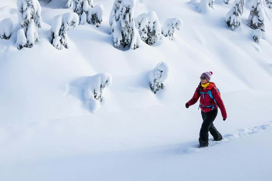 Abisko: Photo Hike with Professional Photographer - Why this Abisko photo hike works so well