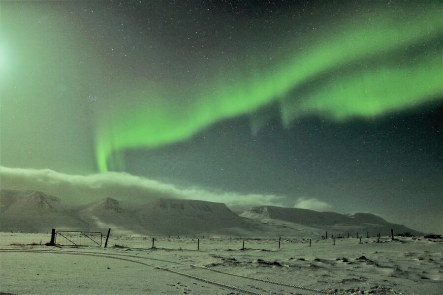 Akureyri: Hunt for the Northern Lights Photography Tour - What the guides add