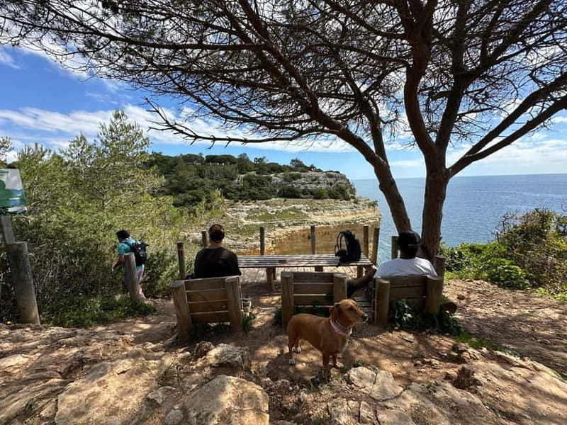 Algarve: 7 Seven Hanging Valley Hike Tour- Photos & Transfer - From Vale Centeanes to the Algarve’s cliff trail