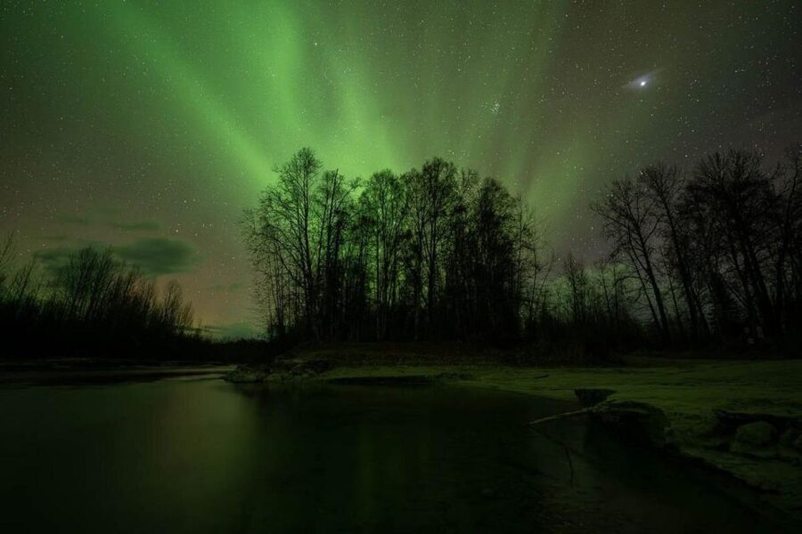 Anchorage: Aurora Borealis Northern Lights Photography Tour - Who Will Enjoy This Most