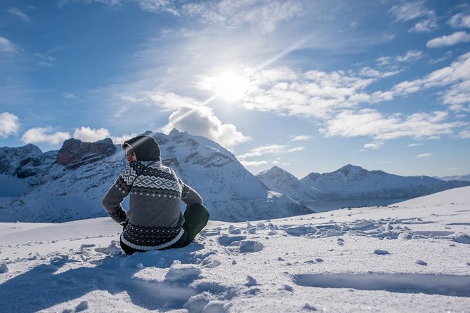 Arctic Nature Photography Sightseeing Tour from Tromso - Fjords, beaches, and changing viewpoints