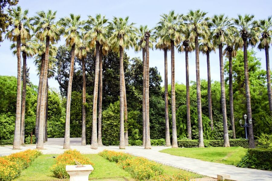 Athens Instagram Tour: The Most Scenic Spots - Starting at Syntagma Square with the Evzones