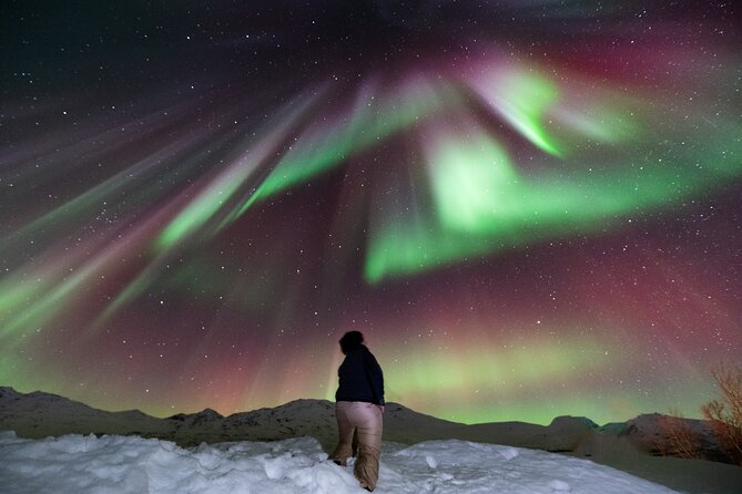 Aurora Hunt with Professional Photographer from Alta - Why this Aurora hunt feels different