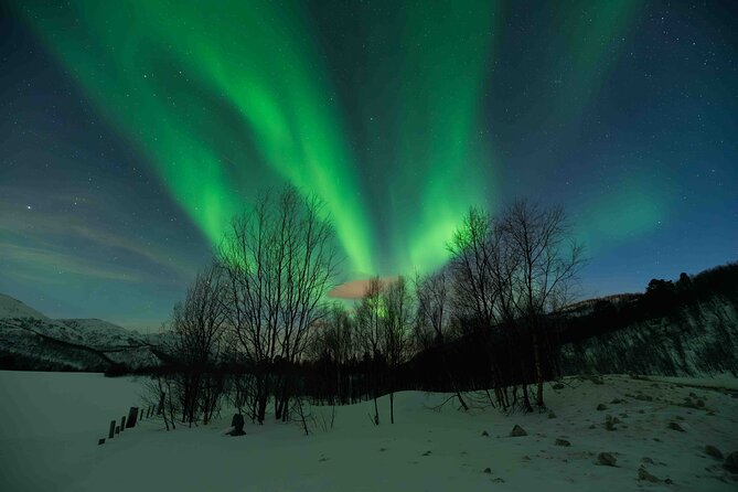 Aurora Hunt with Professional Photographer from Alta - What the $1,145 price buys you