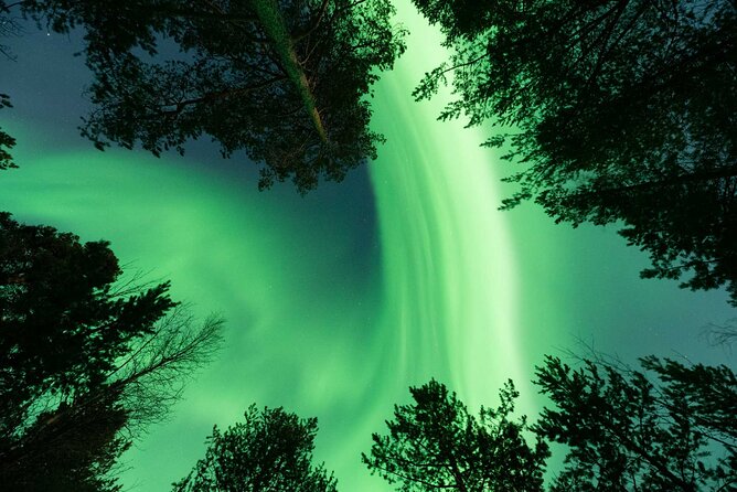 Aurora Hunt with Professional Photographer from Alta - The bonfire stop and Arctic comfort