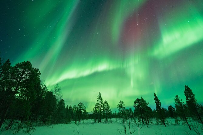 Aurora Hunt with the campfire and professional photographer - Guides who work hard for the sky