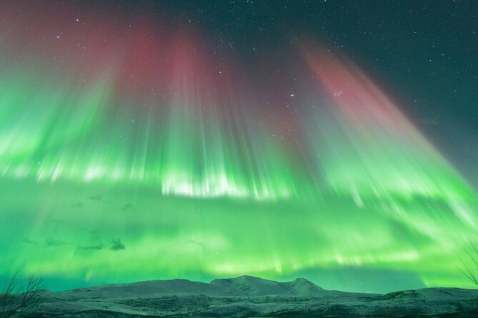 Aurora Hunt with the campfire and professional photographer - Photos that are more useful than a phone snapshot