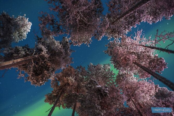 Aurora Photography Tour 3 HOURS - The guides make the difference