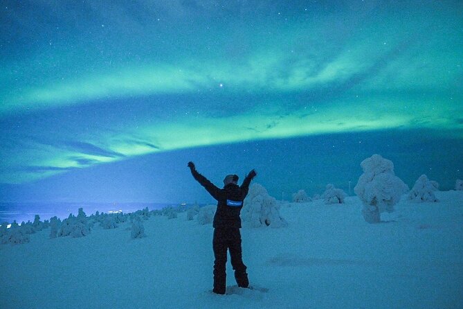 Aurora Photography Tour 3 HOURS - Is $167.74 a fair price?