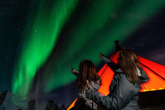 Aurora Safari Chase by big bus, free Photos, toilet onboard - Is $128.16 good value?