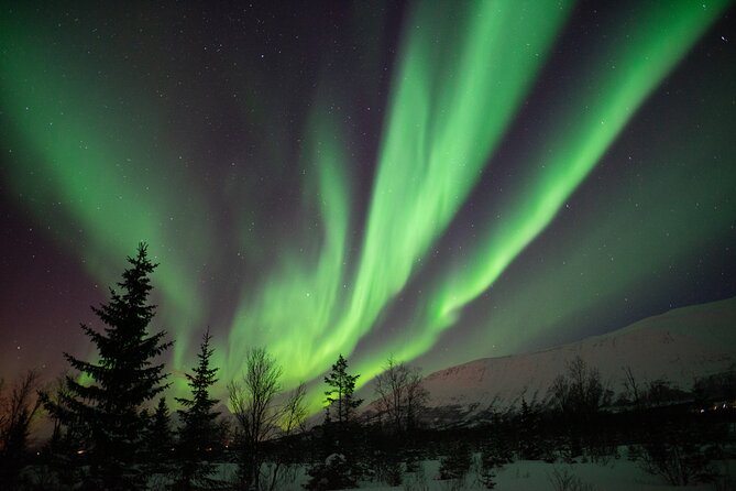 Aurora Safari Chase by big bus, free Photos, toilet onboard - Waiting at the heated camp, lavvo, or campfire