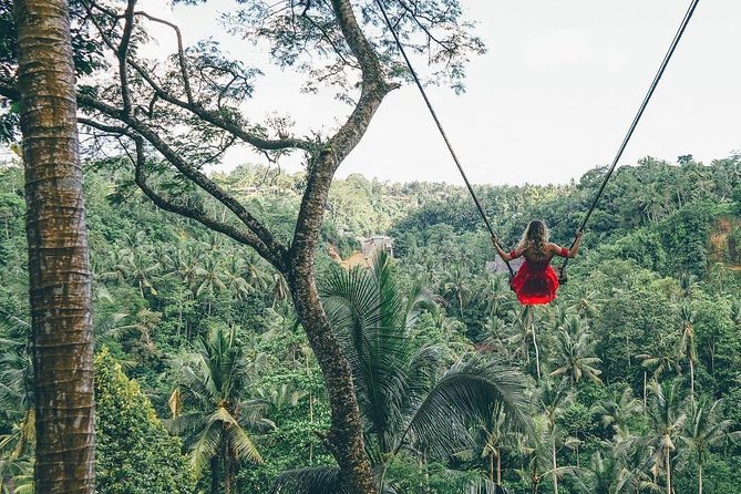 Bali Instagram Tour from Your Hotel (Private & Full-day) - Tirta Gangga, Ujung Palace, and East Bali’s quieter side