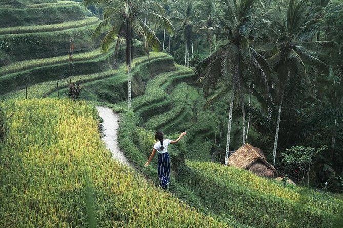 Bali Instagram Tour from Your Hotel (Private & Full-day) - Rice terraces from Tegalalang to Jatiluwih