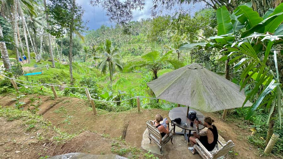 Bali:Traditional Wedding Photoshoot with the Rice Field View - The U Fun Field visit and optional activities