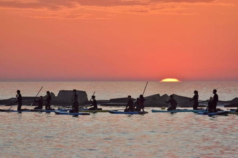 Barcelona: Paddleboarding at Sunrise. Includes: instructor, photos, equipment - Sunrise on the Mediterranean