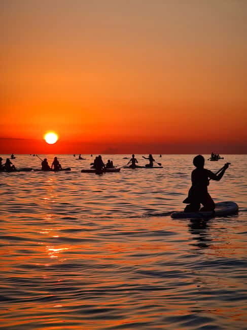 Barcelona: Paddleboarding at Sunrise. Includes: instructor, photos, equipment - Small Details That Make the Morning Better
