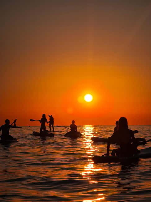 Barcelona: Paddleboarding at Sunrise. Includes: instructor, photos, equipment - Should You Book This Sunrise Paddleboard Experience?