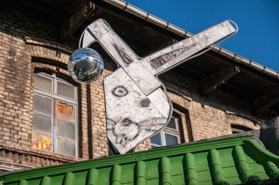 Berlin: Alternative Culture Walking Tour & Photoshoot - Price, group size, and overall value