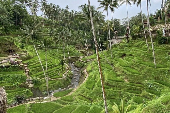 Best of Instagram Tour: Gate of Heaven, Tirta Gangga, Bali Swing - Aloha Ubud Swing and the extra photography cost