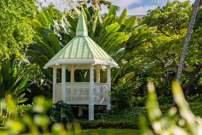 Big Island, Kona Hawaii Photographer - Outrigger Mini Session - Is $525 good value for your group?