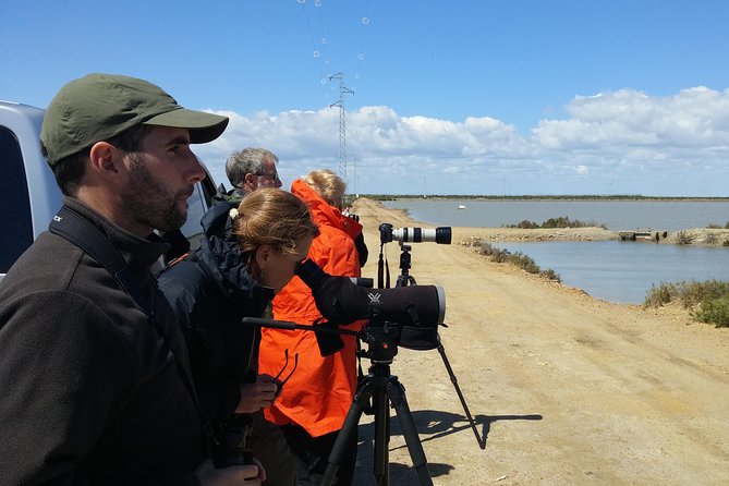 Birding & Photography Day Trip to Doñana from Seville - Marshes, pine forest, and rice paddies
