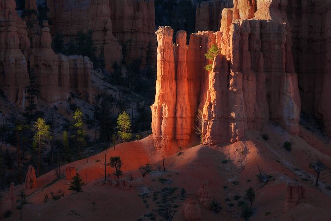 Bryce Canyon Photography Tours - Key points for choosing your Bryce Canyon photo tour