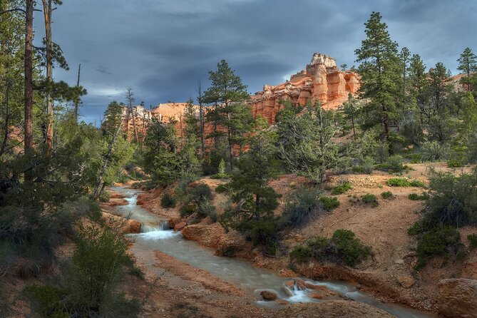 Bryce Canyon Photography Tours - Walking among hoodoos after dark