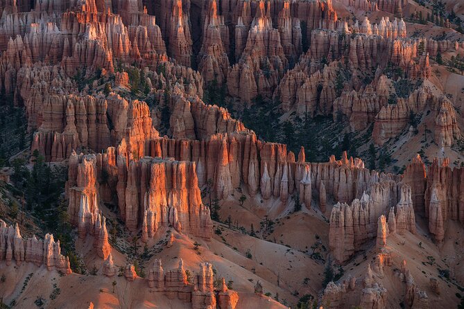 Bryce Canyon Photography Tours - What Hunter actually helps you improve