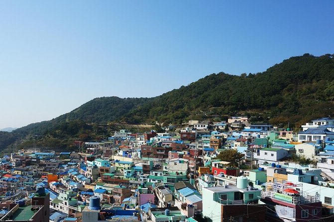 Busan Night Small Group Photo Tour (Max 7) - Key points to know before booking