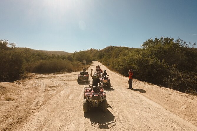 Cabo Lifestyle Photoshoot - Pickup, meeting point, and group comfort