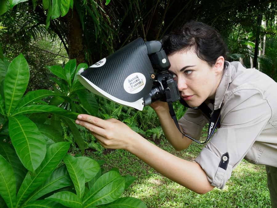 Cairns: Insect Photography Tour of Cairns Botanic Gardens - Why eight people is the right group size