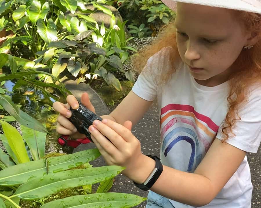 Cairns: Insect Photography Tour of Cairns Botanic Gardens - Is $56 good value for two hours?