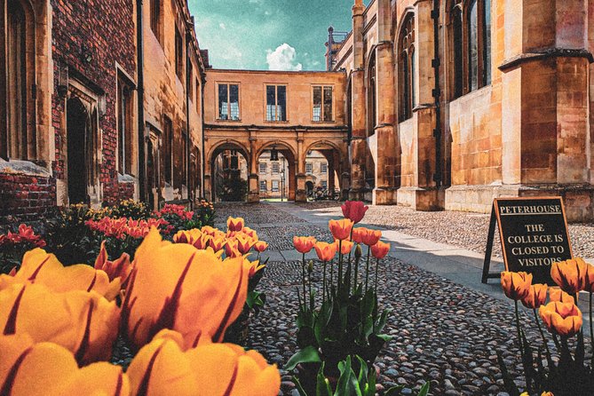 Cambridge Instagram Self-Guided Tour - Top Photo Spots - Key points to know before you book