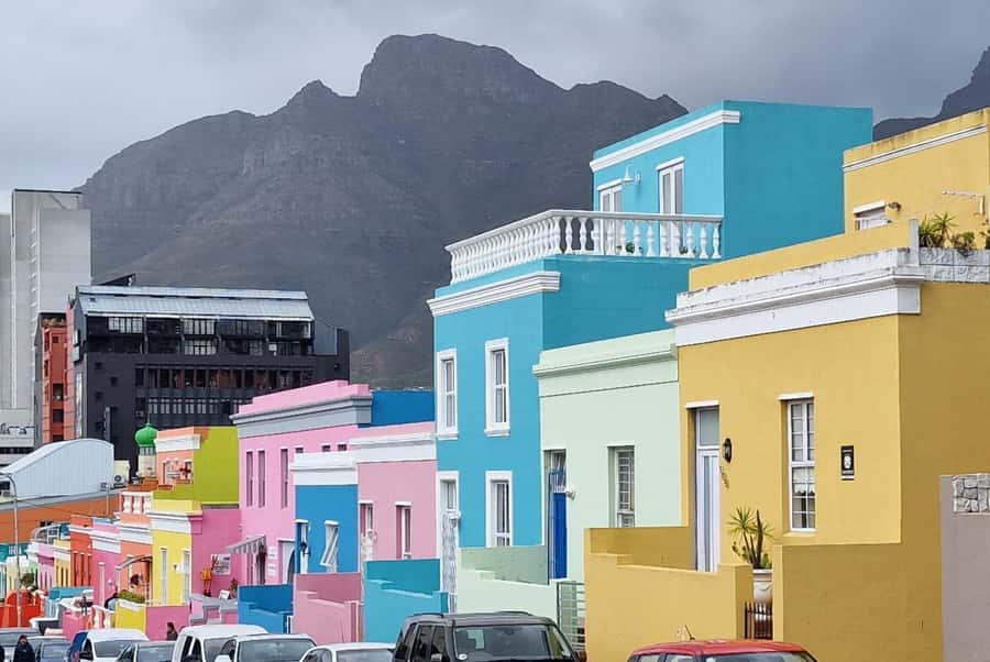 Cape Town: Cape of Good Hope, Penguins Instagram Group Tour - Hout Bay and the optional Seal Island boat