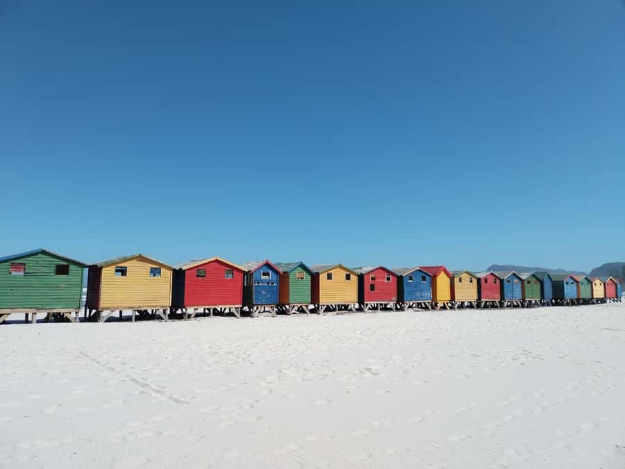 Cape Town: Cape of Good Hope, Penguins Instagram Group Tour - Boulders Beach and the African penguins
