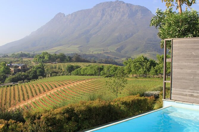 Cape Town Photo Walk & City Tour - Who should book this walk?