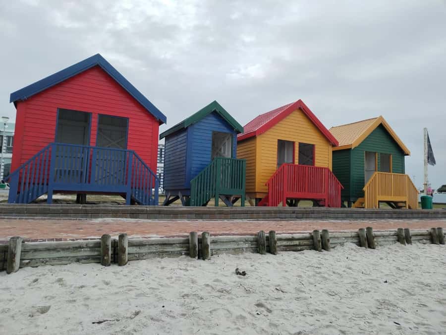 Cape Town: Table MT, Cape Point & Penguins Instagram Tour - What the $46 Cape Town day covers