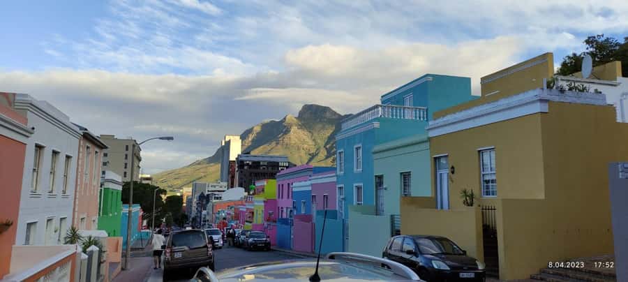 Cape Town: Table MT, Cape Point & Penguins Instagram Tour - Boulders Beach and the African penguins